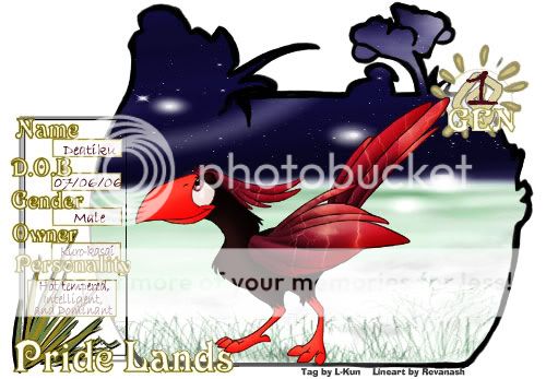 User Image